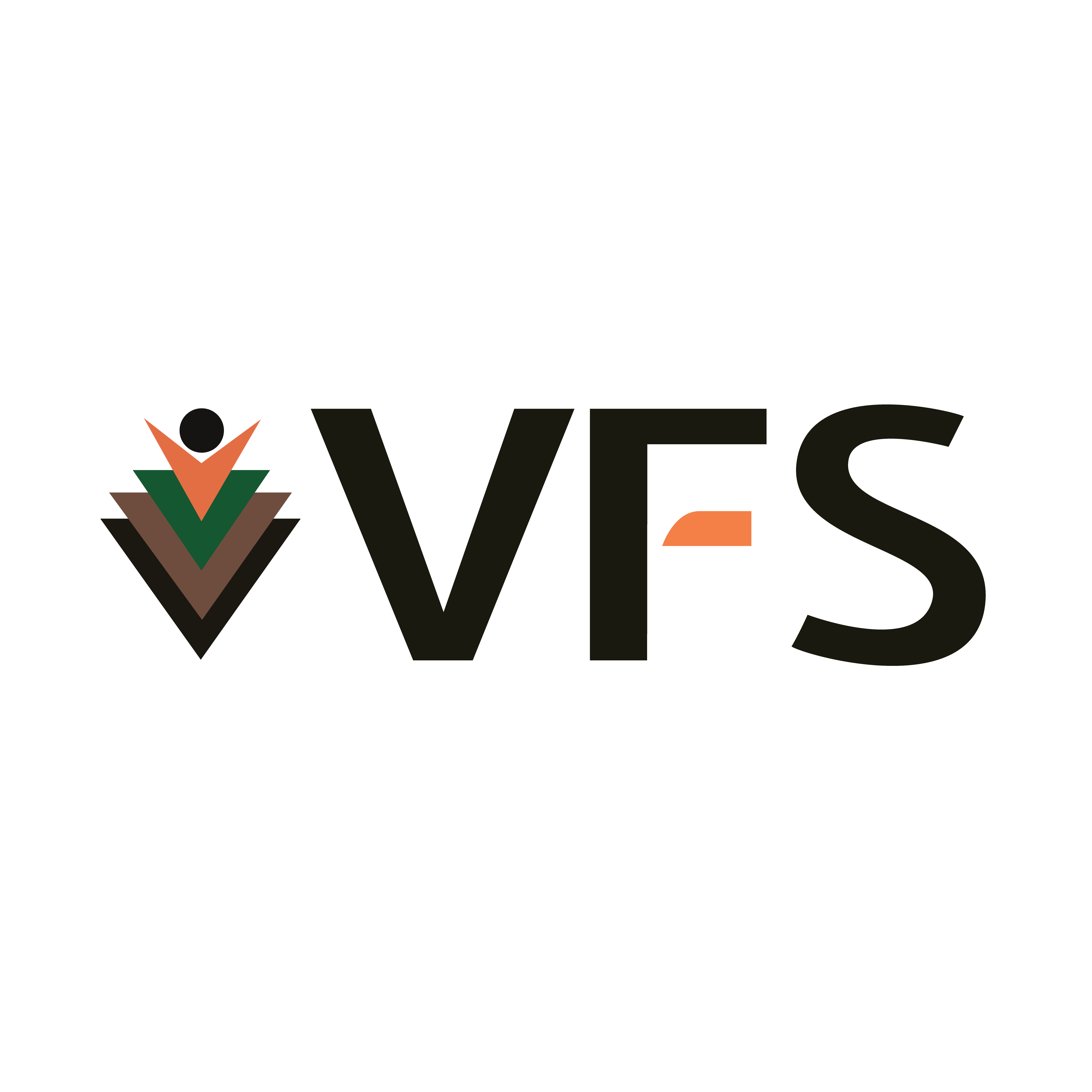 VFS-logo